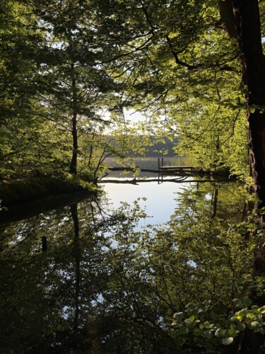 Lake Park Zachód Słońca